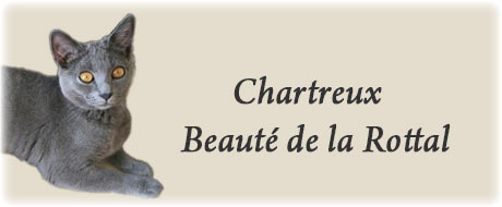 Beauté de la Rottal | Chartreux